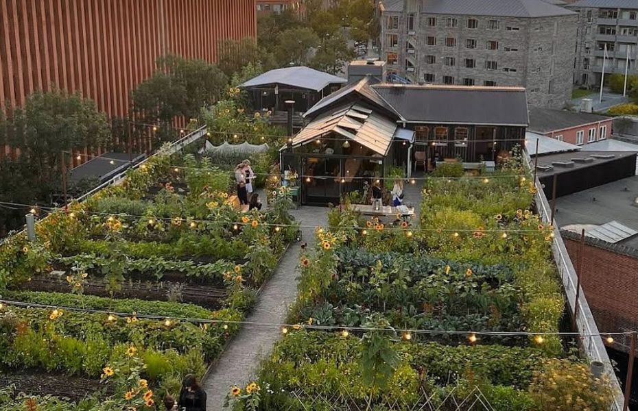 rooftop københavn